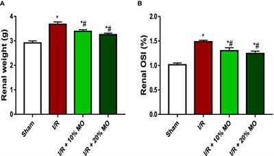 Moringa oleifera-based feed supplement protects against renal ischaemia/reperfusion injury via downregulation of Bax/caspase 3 signaling